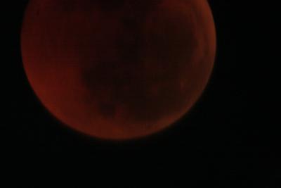 img_8260.jpg